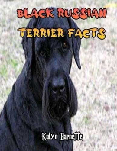 Black Russian Terrier Facts