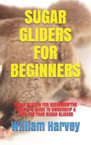 Sugar Gliders for Beginners
