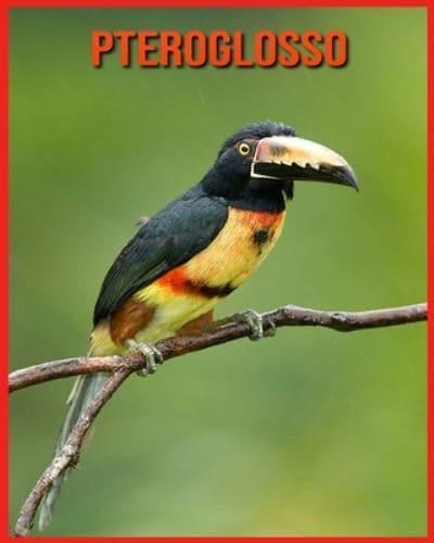 Pteroglosso:  Fantastici fatti e immagini