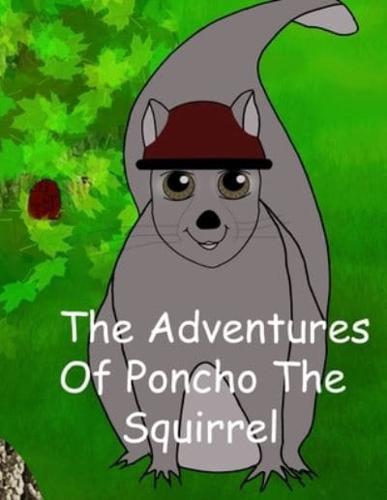 The Adventures of Poncho the Squirrel!!