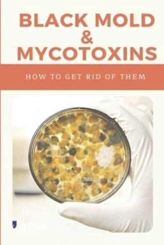 Black Mold & Mycotoxins