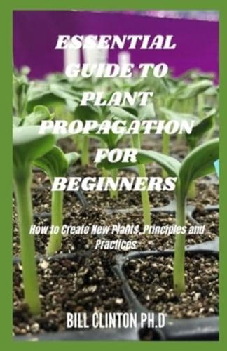 Essential Guide to Plant Propagation for Beginners