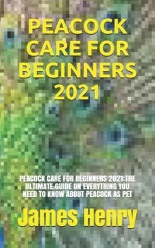 Peacock Care for Beginners 2021