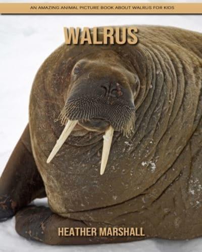 Walrus: An Amazing Animal Picture Book about Walrus for Kids