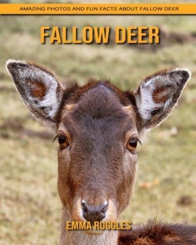 Fallow Deer: Amazing Photos and Fun Facts about Fallow Deer
