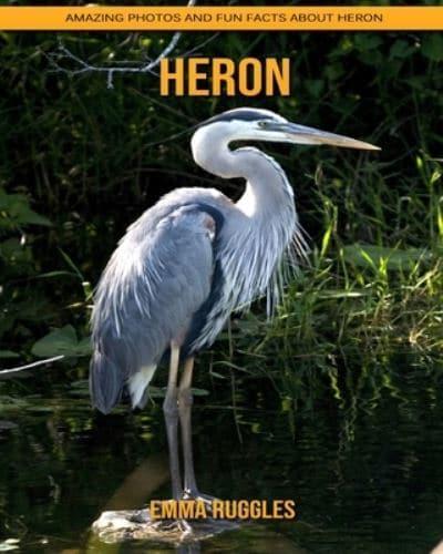 Heron: Amazing Photos and Fun Facts about Heron