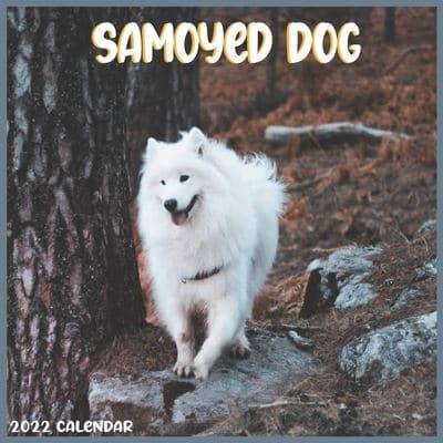 Samoyed Dog 2022 Calendar: Offcial Samoyed Dog breed 2022 Calendar 16 Months