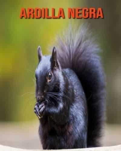 Ardilla negra:  Imágenes asombrosas y datos curiosos