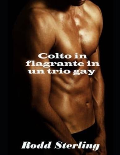 Colto in flagrante in un trio gay:  racconto erotico gay