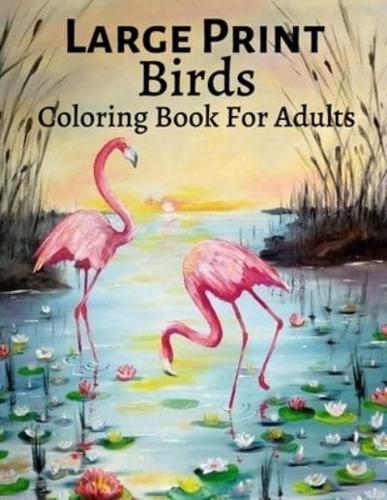 Large Print Birds Coloring Book For Adult