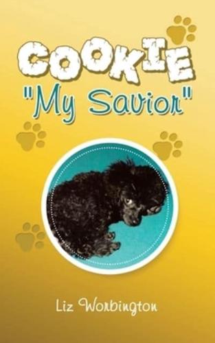 Cookie "My Savior"