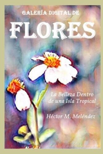 Galería Digital de Flores: La Belleza dentro de una Isla Tropical