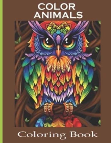 Color Animals Coloring Book
