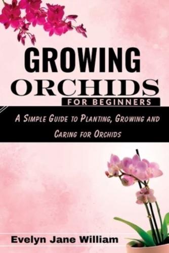 Growing Orchids For Beginners