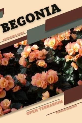 Begonia