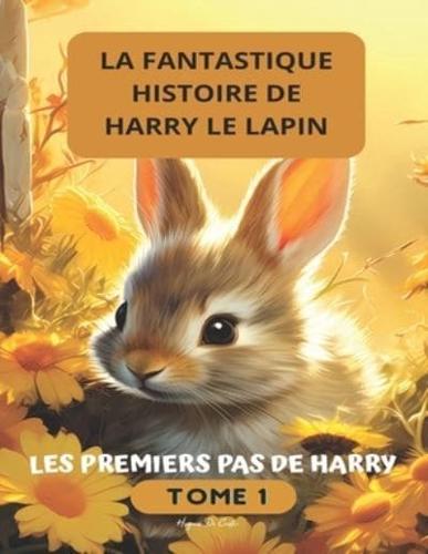 La Fantastique Histoire De Harry Le Lapin