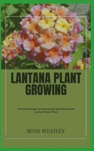 Lantana Plant Growing