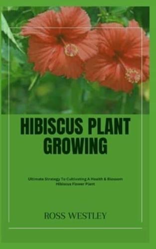 Hibiscus Plant Growing