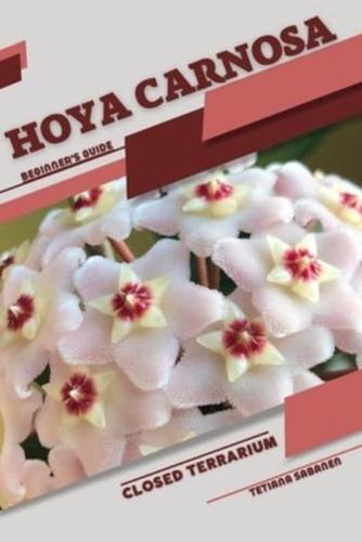 Hoya Carnosa