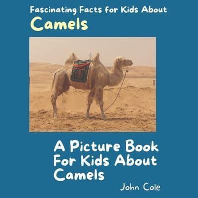 A Picture for Kids About Camels