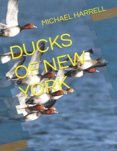 Ducks of New York