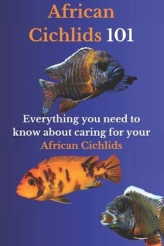 African Cichlids 101