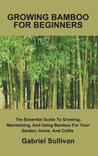 Growing Bamboo for Beginners