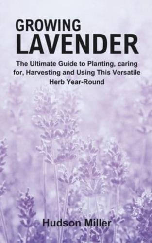 Growing Lavender