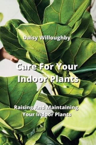 Care For Your Indoor Plants