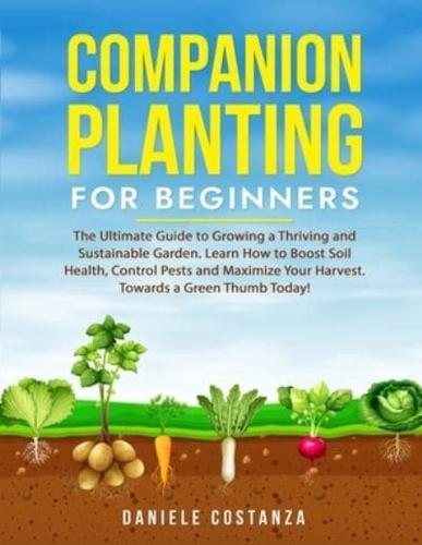 Companion Planting for Beginners