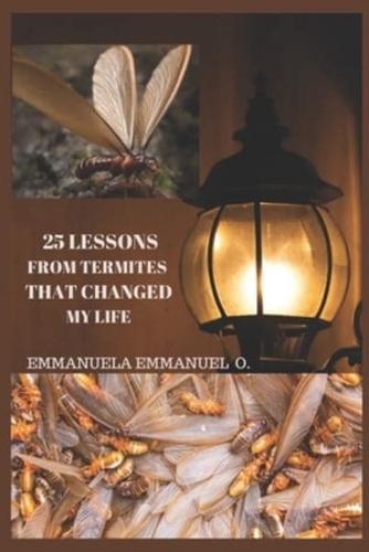 25 Lessons from Termites That Changed My Life