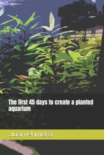 The First 45 Days to Create a Planted Aquarium