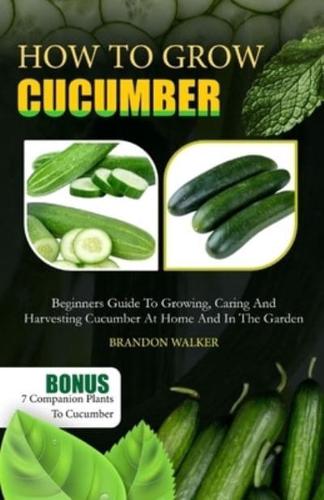 How to Grow Cucumber