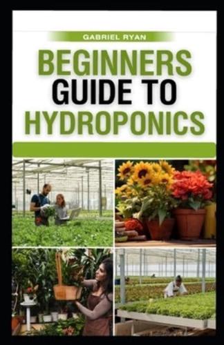 Beginners Guide to Hydroponics