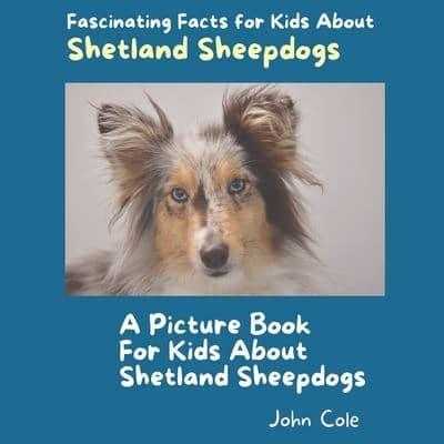 A Picture Book for Kids About Shetland Sheepdogs