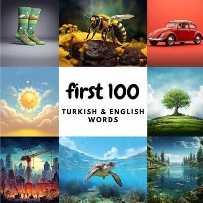 First 100 Turkish & English Words