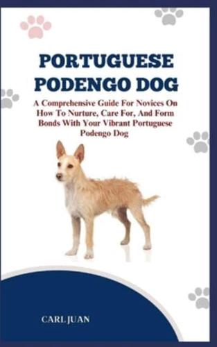 Portuguese Podengo Dog