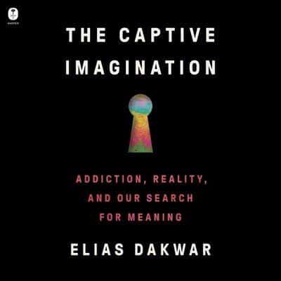 The Captive Imagination