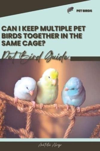 Can I Keep Multiple Pet Birds Together in the Same Cage?