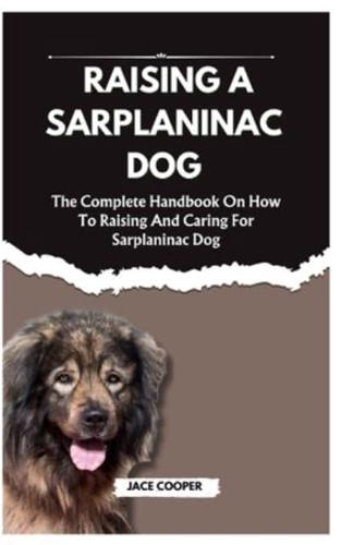 Raising a Sarplaninac Dog