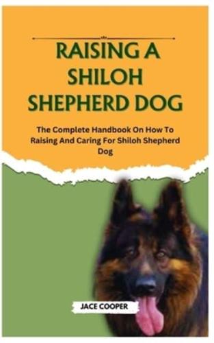 Raising a Shiloh Shepherd Dog