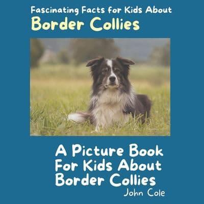 A Picture Book for Kids About Border Collies