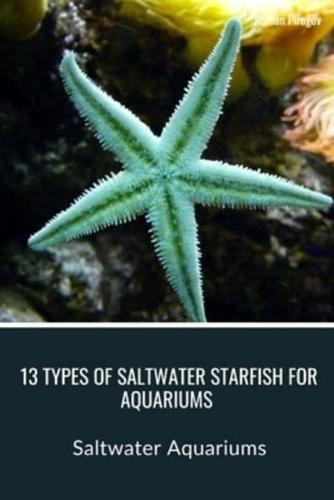 13 Types of Saltwater Starfish for Aquariums