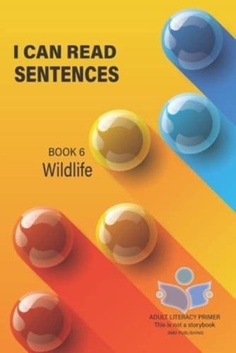I Can Read Sentences Adult Literacy Primer (This Is Not a Storybook)