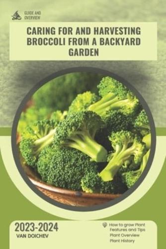 Caring for and Harvesting Broccoli from a Backyard Garden