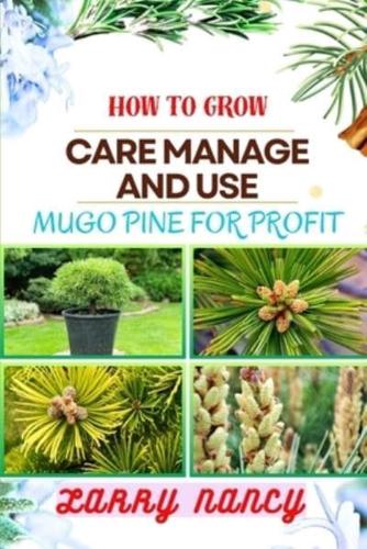 How to Grow Care Manage and Use Mugo Pine for Profit