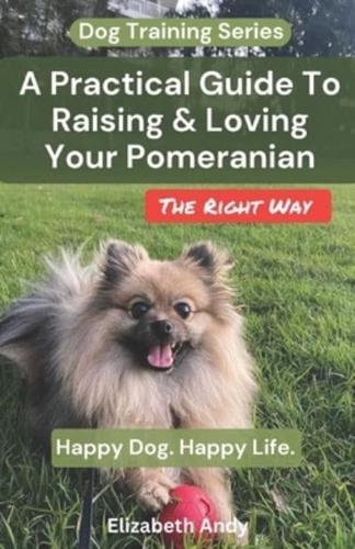 A Practical Guide To Raising And Loving Your Pomeranian The Right Way
