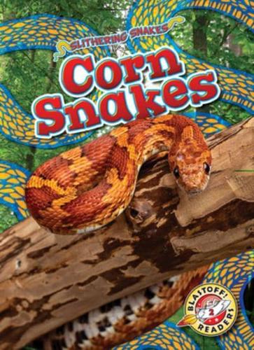 Corn Snakes