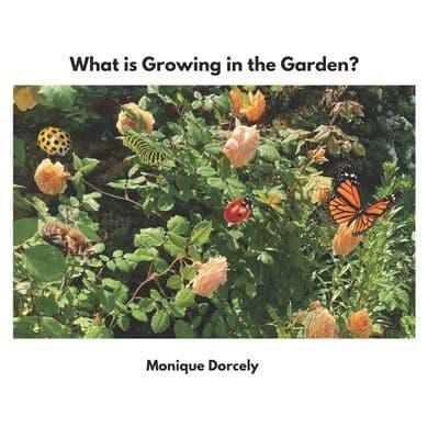 What Is Growing in the Garden?