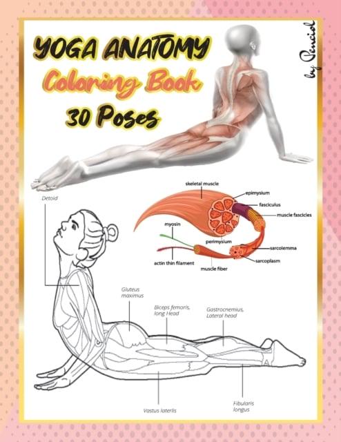 Download Yoga Anatomy Coloring Book An Adult Coloring Book With 30 Yoga Poses Anatomy Yoga Book Press 9780154240484 Blackwell S